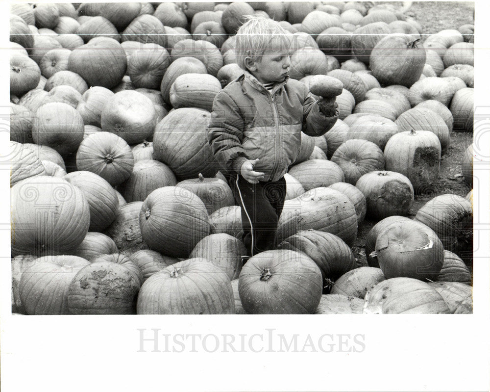 1988 Press Photo fruits - Historic Images