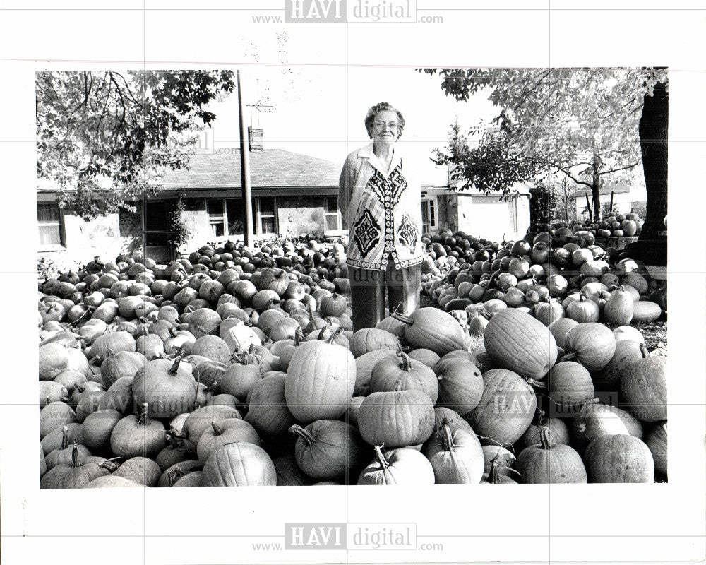 1977 Press Photo Pumpkin Vegetable - Historic Images