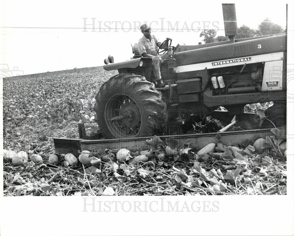 1978 Press Photo Pumpkin - Historic Images