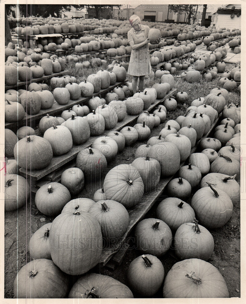 1971 Press Photo Pumpkin - Historic Images