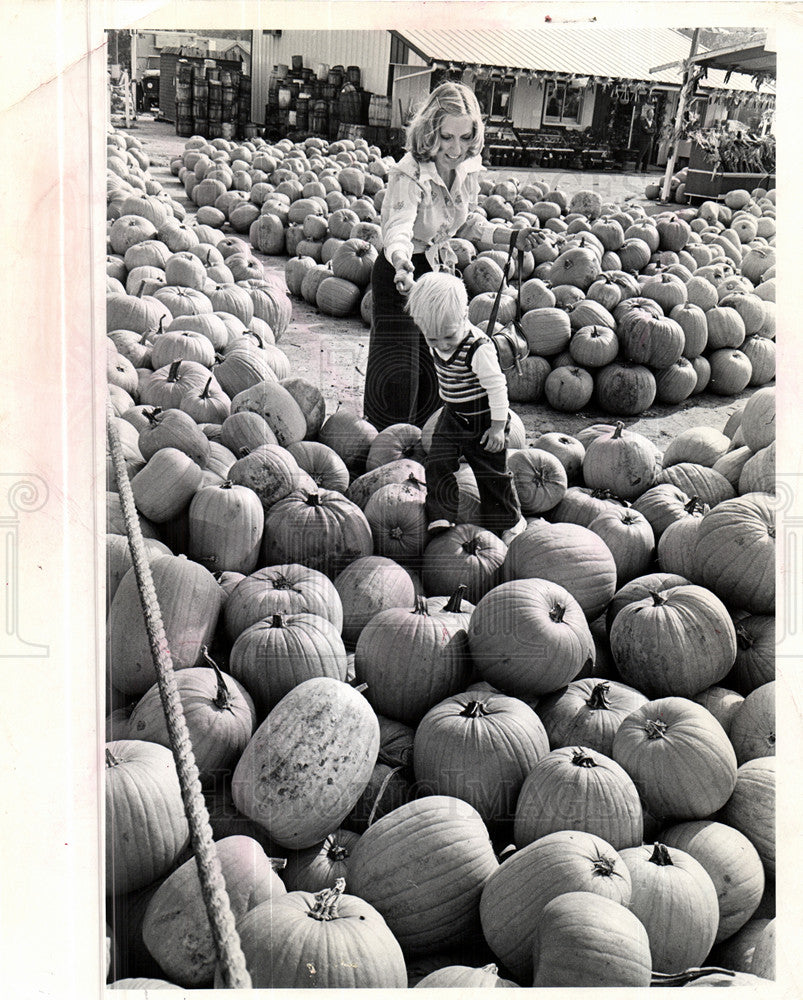 1973 Press Photo Pumpkin - Historic Images