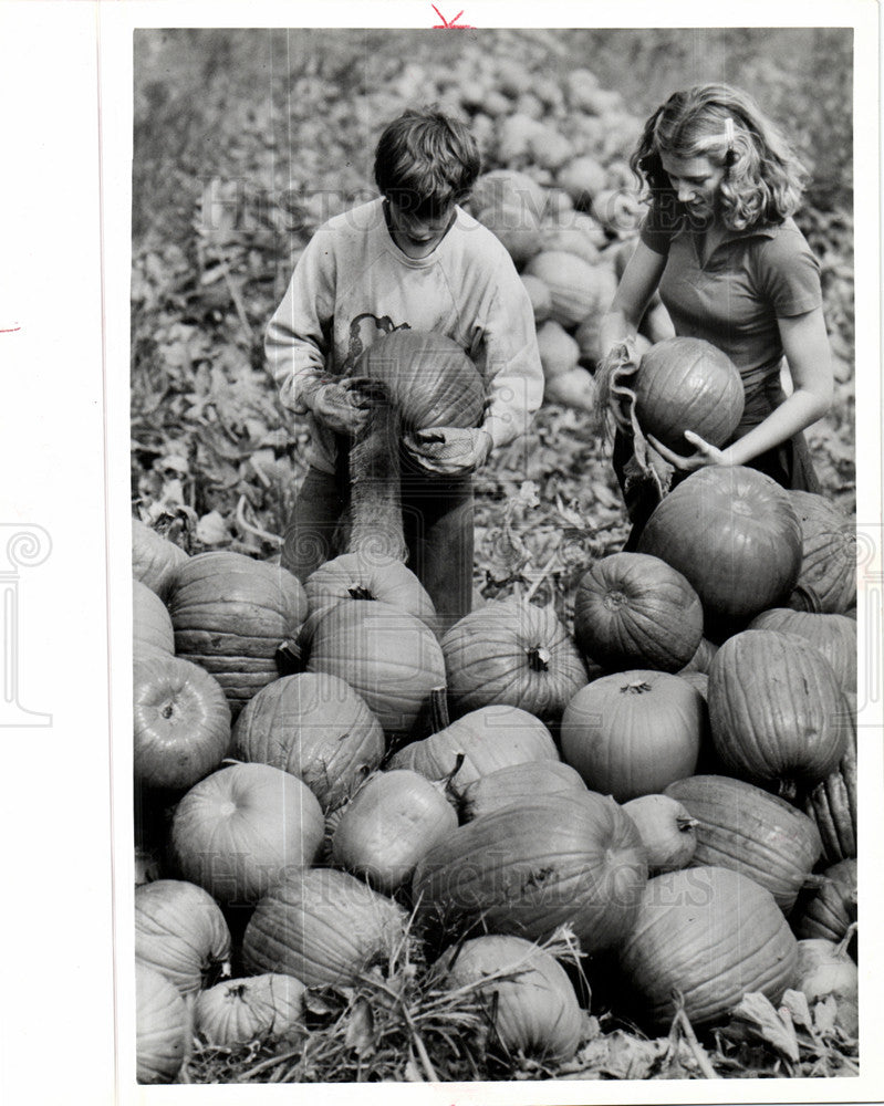 1978 Press Photo PUMPKIN - Historic Images