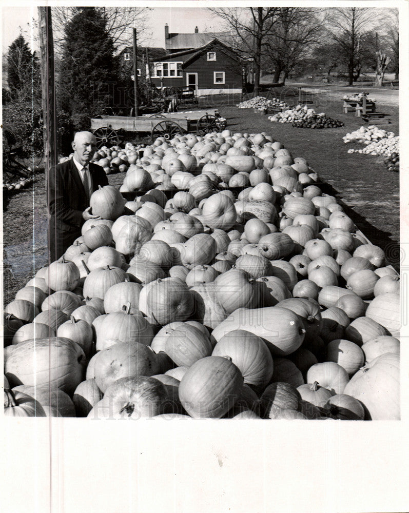 1967 Press Photo pumpkin Vegetable - Historic Images