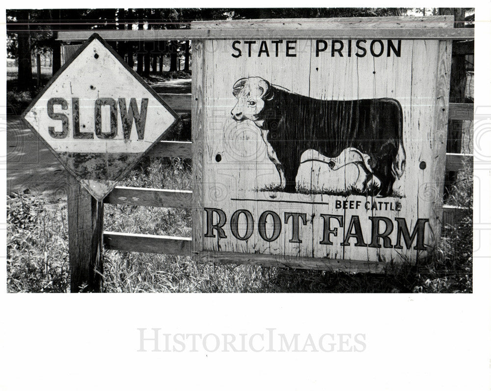 1998 Press Photo State prison root farm - Historic Images