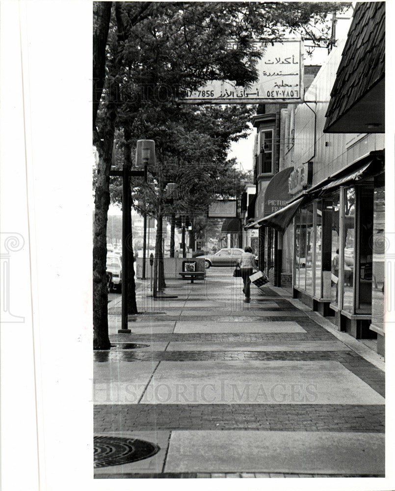 1986 Press Photo Main street in Royal Oak  clean  neat - Historic Images