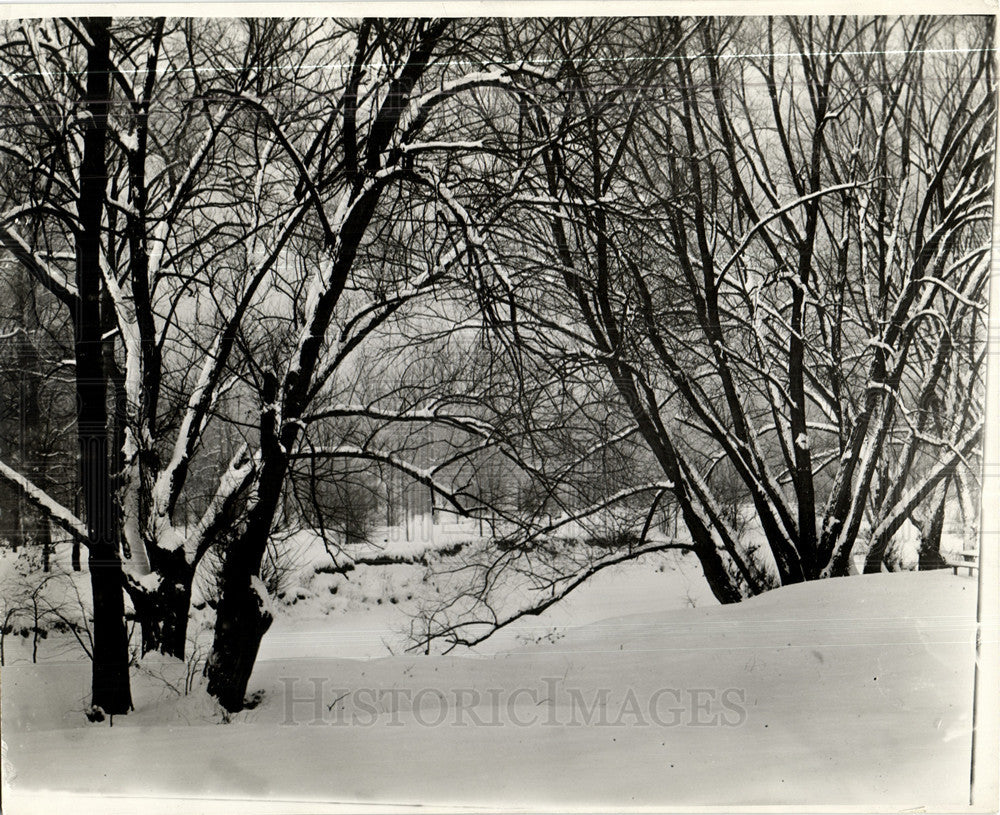 1929 Press Photo Rouge Park - Historic Images