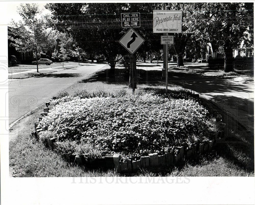 1980 Press Photo Rosedale Park - Historic Images