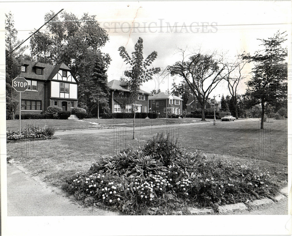 1979 Press Photo Rosedale Park Michigan Detroit Houses - Historic Images