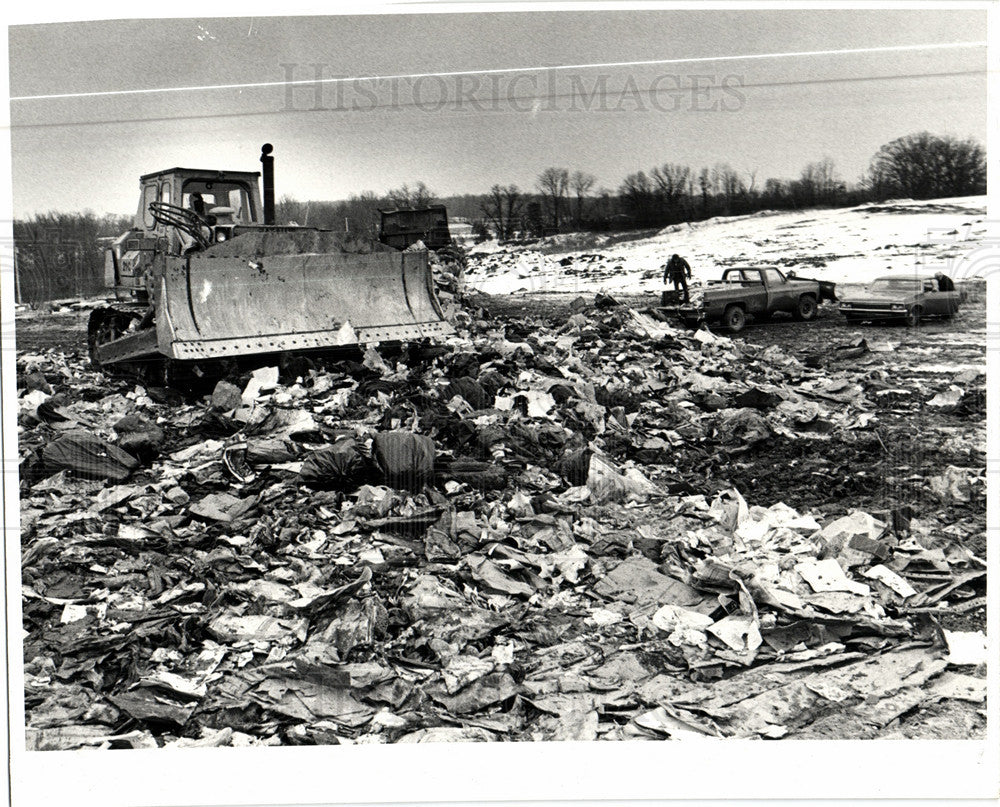 1981 Press Photo rose township - Historic Images