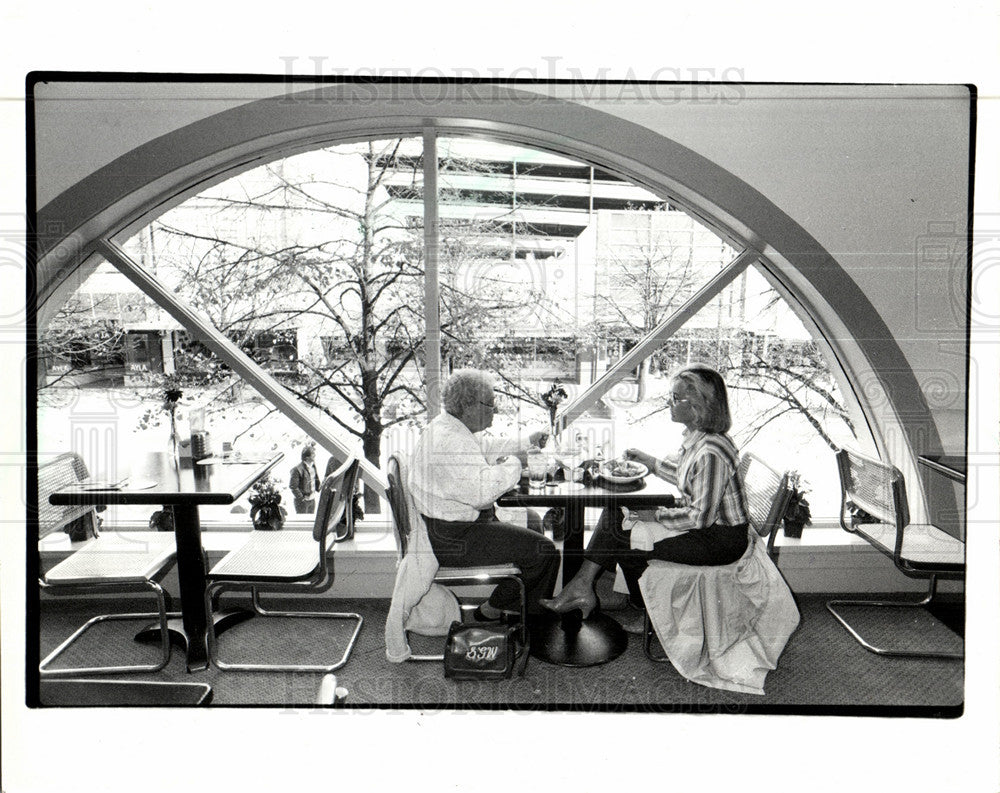 1985 Press Photo Ann Arbor Brandys Open Airy Restaurant - Historic Images