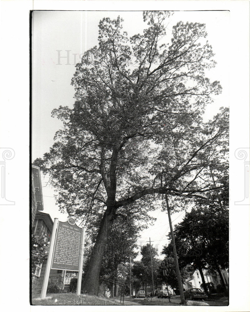 1980 Press Photo Republican Party Under the Oaks - Historic Images