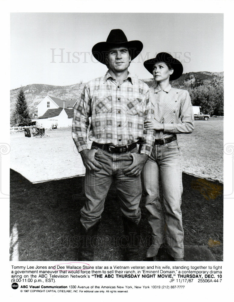 1987 Press Photo Dee Wallace American actress - Historic Images