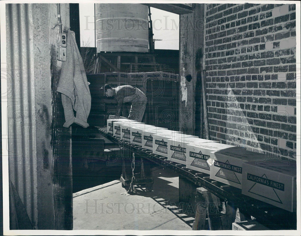 1937 Press Photo canned sardine assembly line - Historic Images