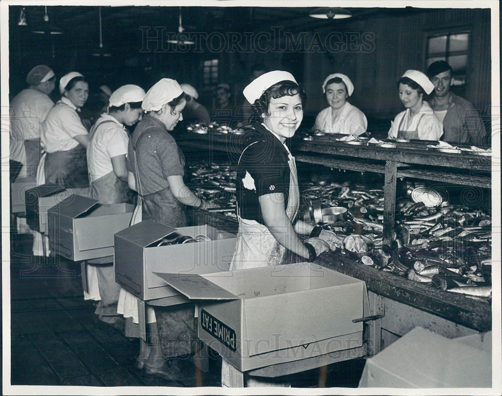 1991 Press Photo sardines, cooking, brining, canned - Historic Images