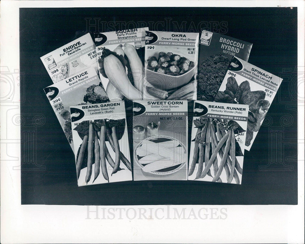 1977 Press Photo Cook come up Sweet corn - Historic Images