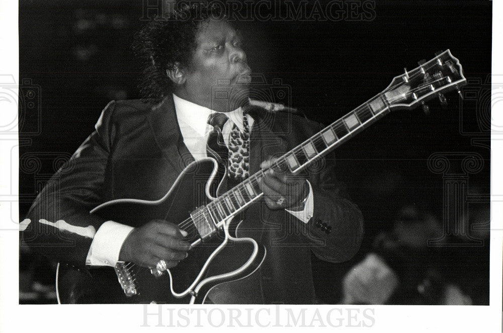 1985 Press Photo B.B. King Chene Park - Historic Images