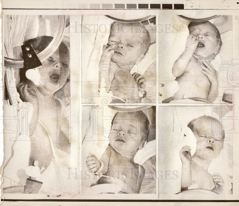 1970 Press Photo Kienast quintuplets New York USA - Historic Images