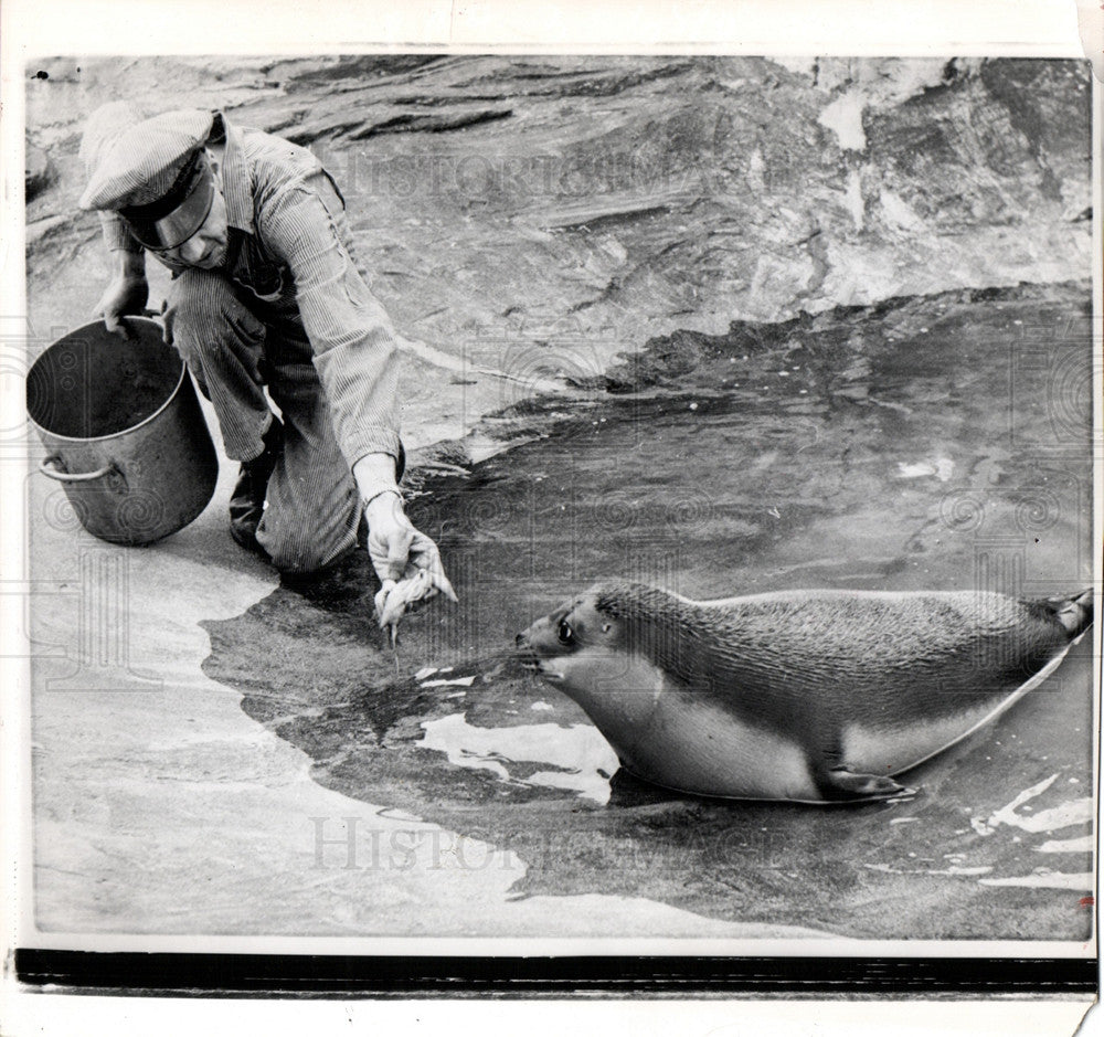 1959 Press Photo seal - Historic Images