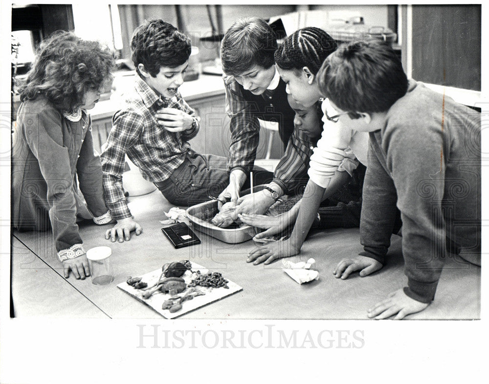 1982 Press Photo School - Class Room - Historic Images