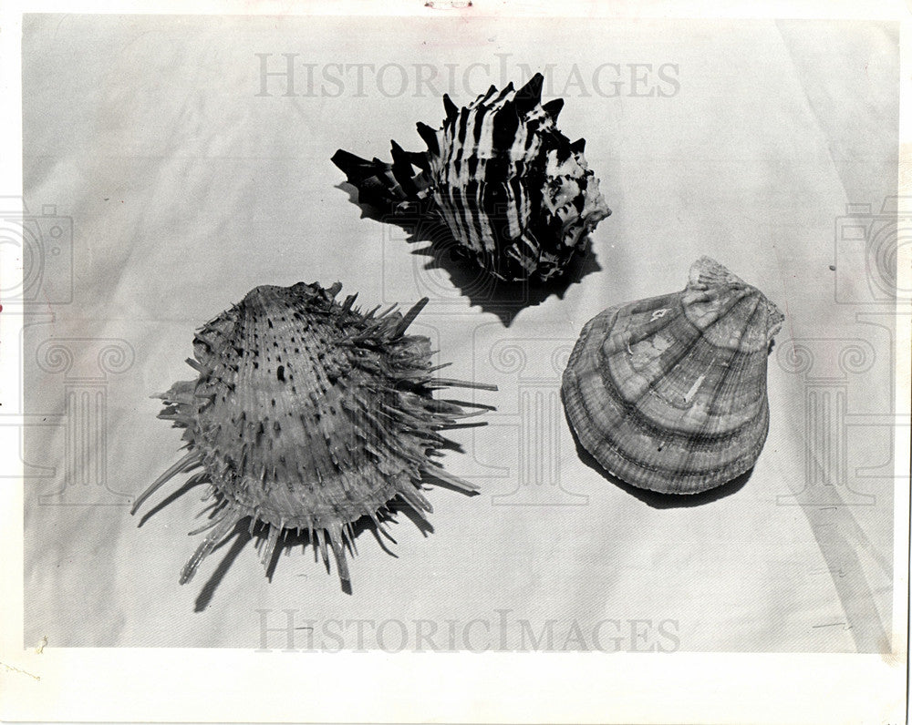 1974, Shell - Historic Images