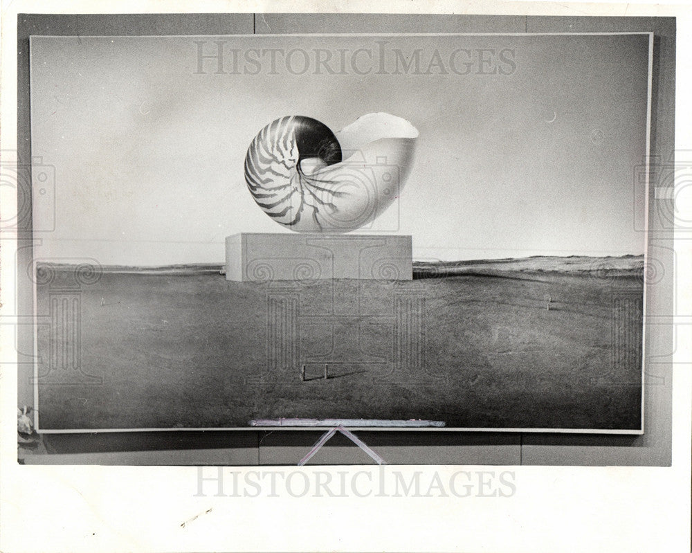 1974 Press Photo great conch shell .Louis Jones - Historic Images