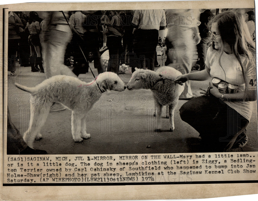 1974 Press Photo Carl Oshingsky Bettington Terrier - Historic Images