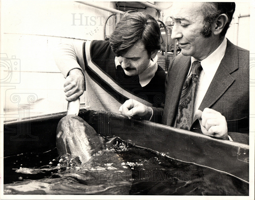 1976 Press Photo Shark - Historic Images