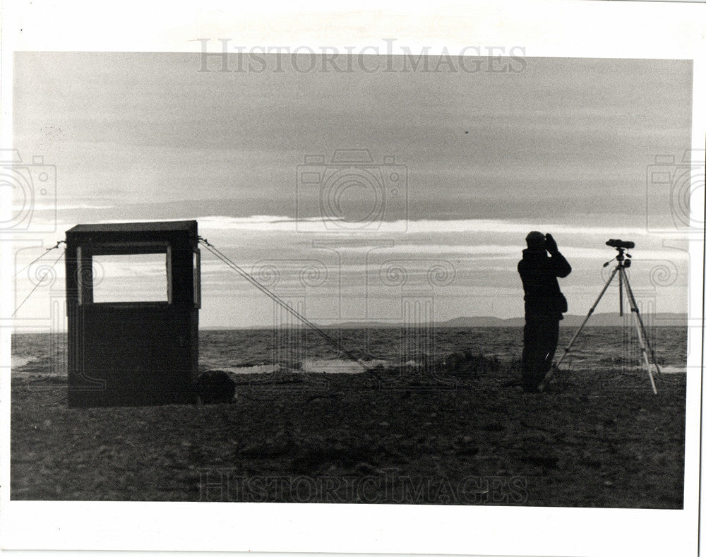 1991 Press Photo Lake Superior birds Peter Reaman - Historic Images