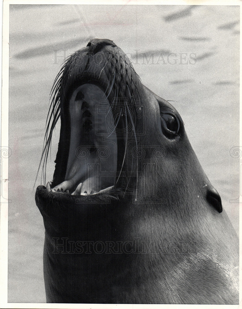 1970 Press Photo Seal - Historic Images