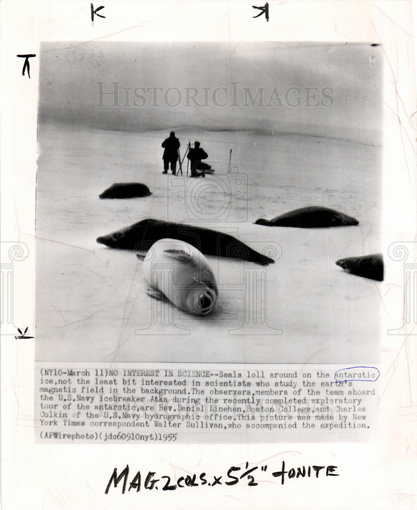 1955 Press Photo Linehan Culkin Antarctica Seals - Historic Images