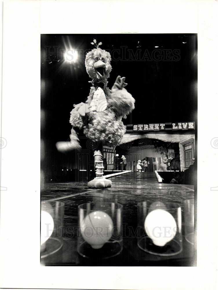 1987 Press Photo Big Bird &quot;Sesame Street Live&quot; - Historic Images