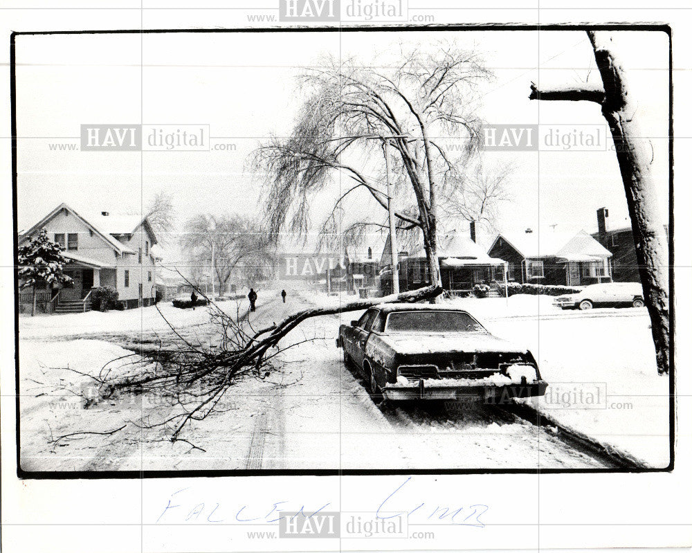 1978 Press Photo Oakman Detroit Snow Storm Tree Car - Historic Images