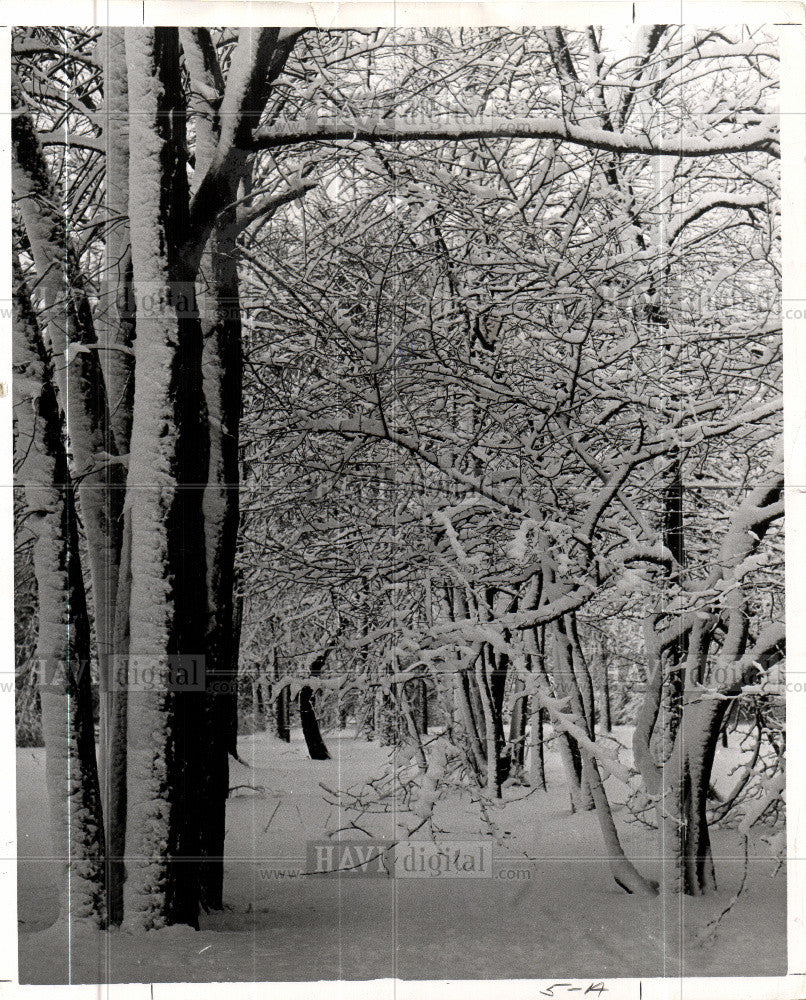 1954 Press Photo Snow - Historic Images