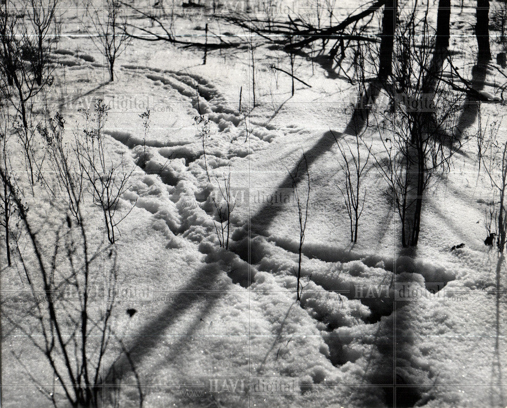 1964 Press Photo Snow - Historic Images