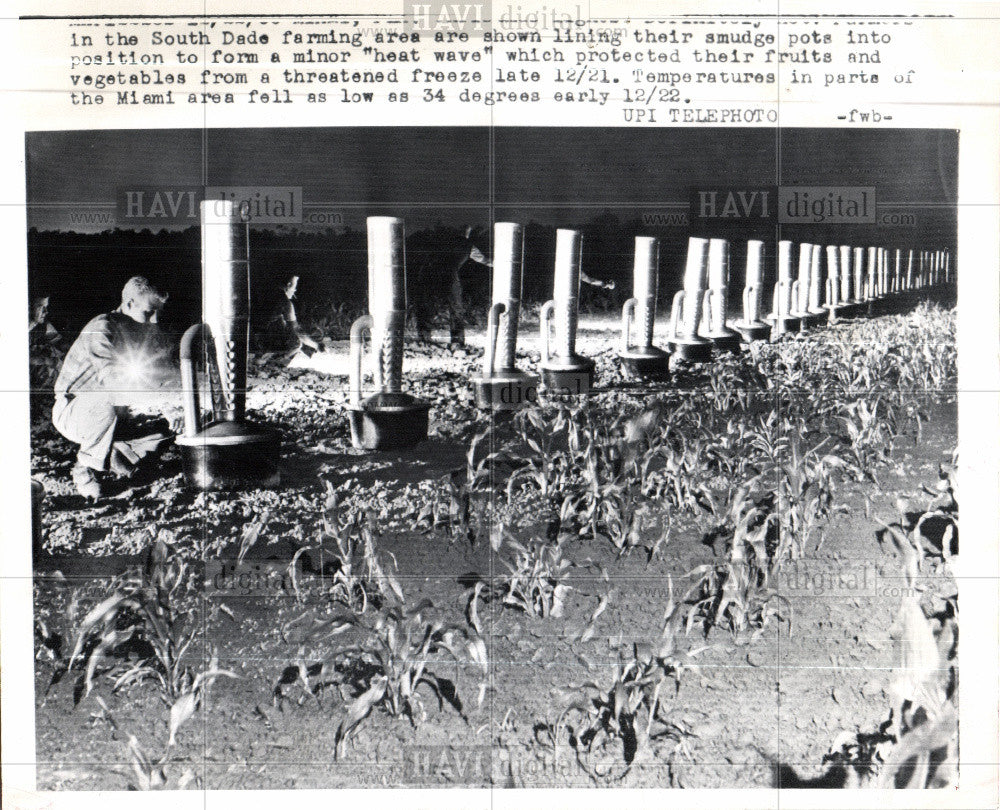 1960 Press Photo Smudge pot oil burning device fruit - Historic Images