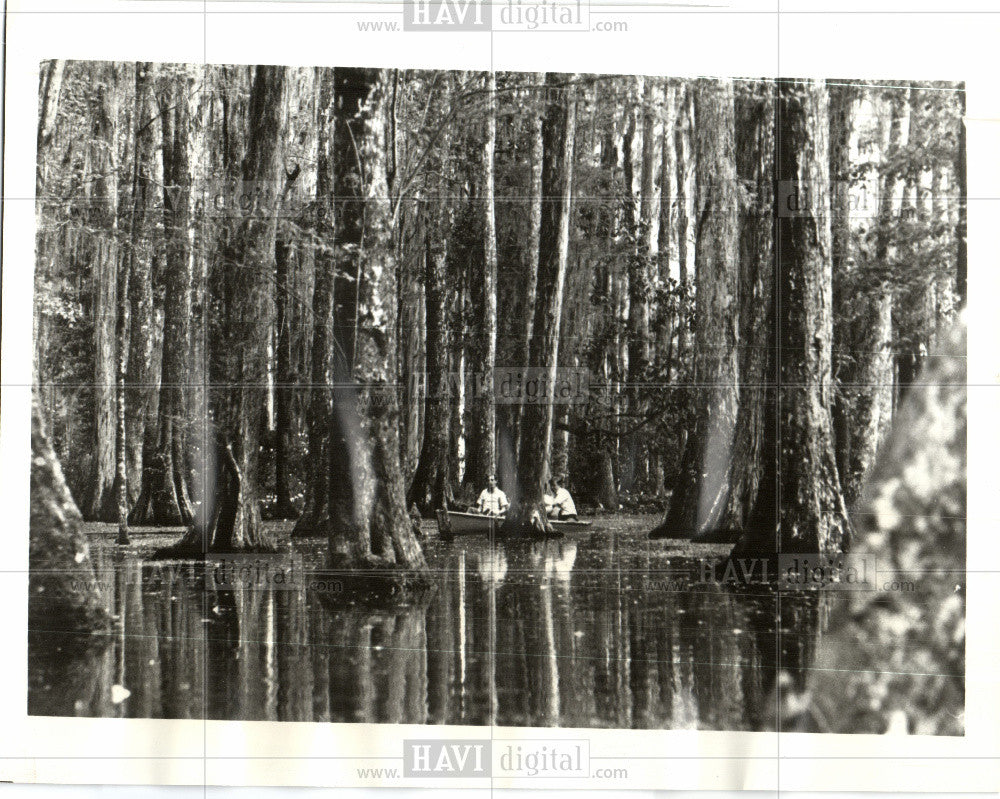 1984 Press Photo Cypress Gardens Charleston SC - Historic Images