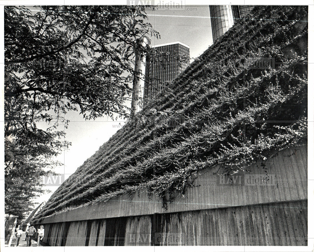 1982 Press Photo Renaissance Center creeper plants - Historic Images