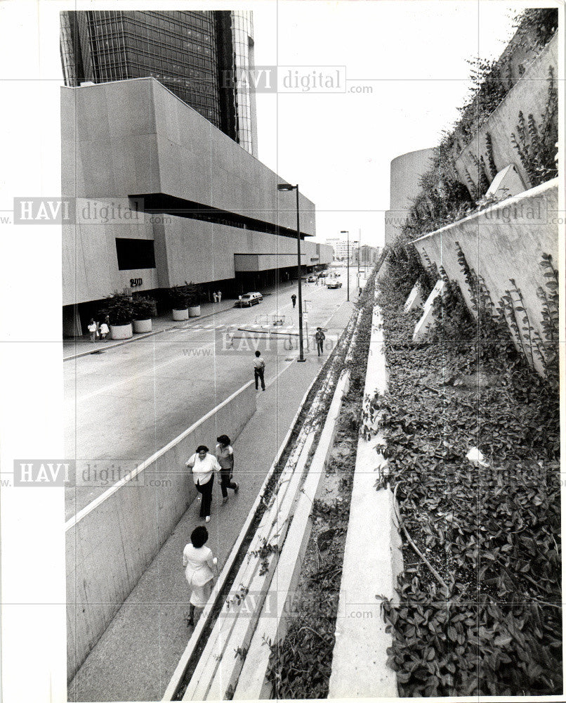 1979 Press Photo renaissance, center, vines, growing - Historic Images