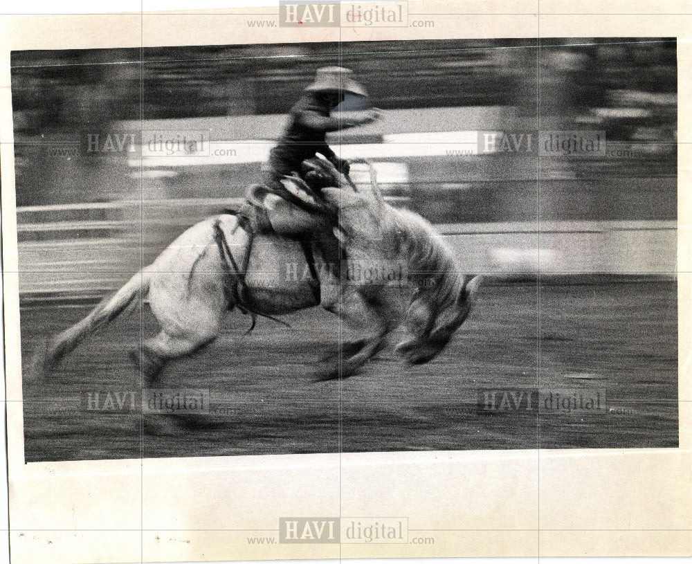 1984 Press Photo rodeo competitive sport - Historic Images