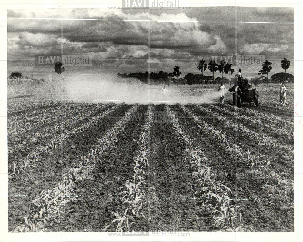 1963 Press Photo agricultural research Rockefeller - Historic Images