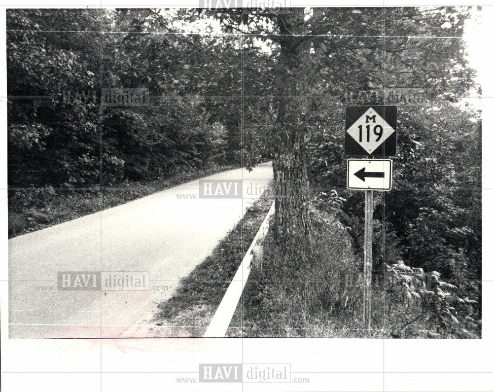 1982 Press Photo highway road michigan travel drive - Historic Images