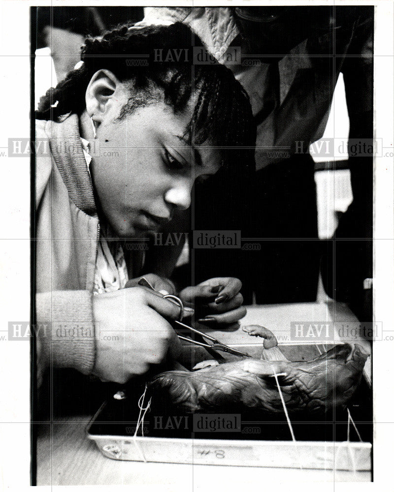 1980 Press Photo dissect biology student class pig - Historic Images