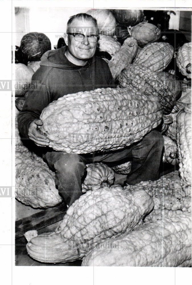 1966 Press Photo John Johnson hubbard squash harvest - Historic Images