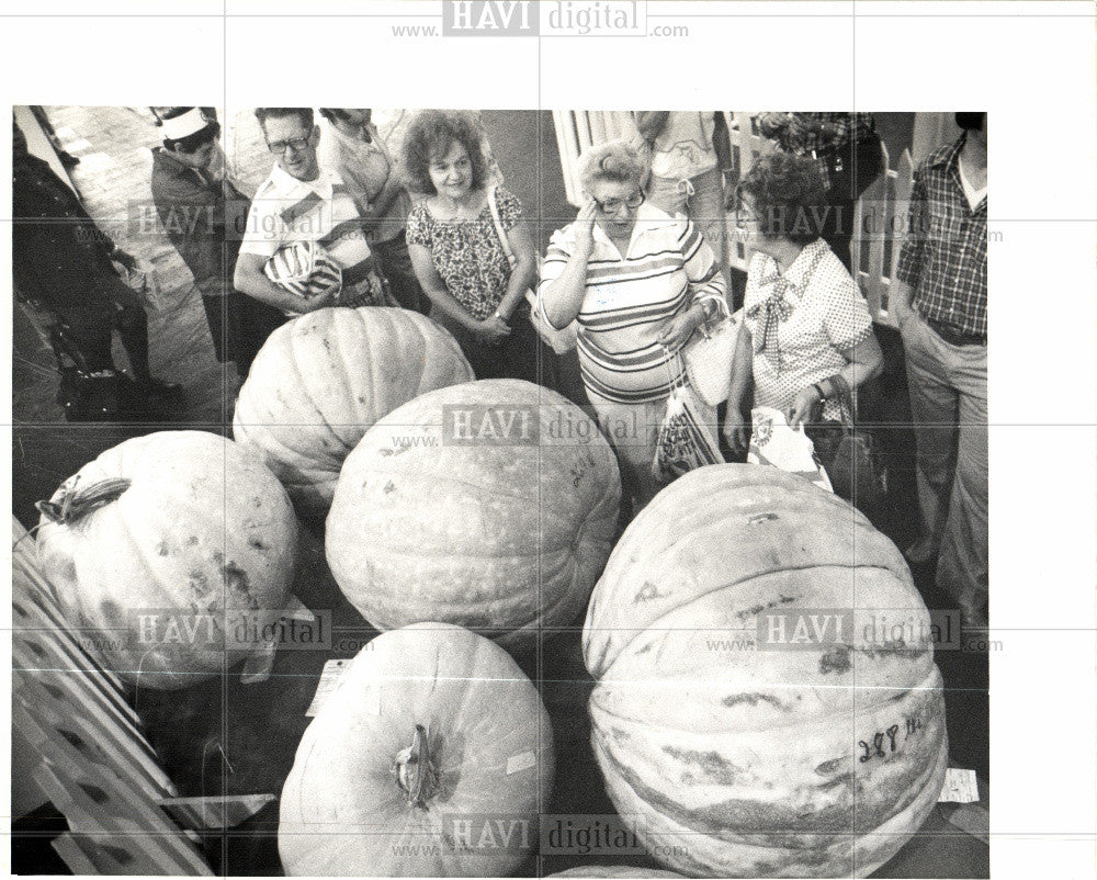 1978 Press Photo Michigan State Fair - Historic Images