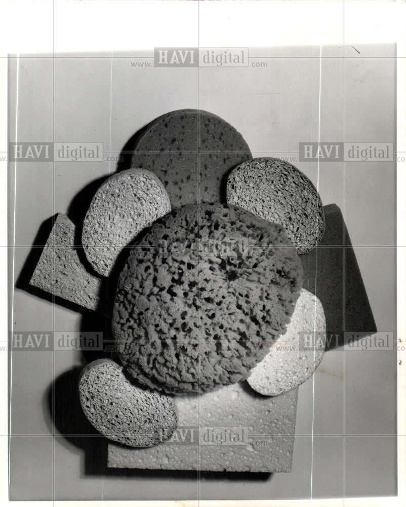 1976 Press Photo Sponges - Historic Images