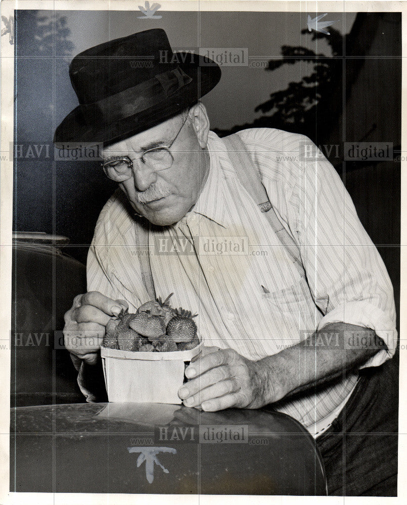 1940 Press Photo Walter Taylor farmer strawberries huge - Historic Images