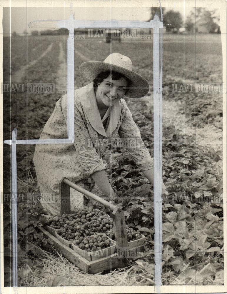 1935 Press Photo Geraldine Ludor picking strawberries - Historic Images