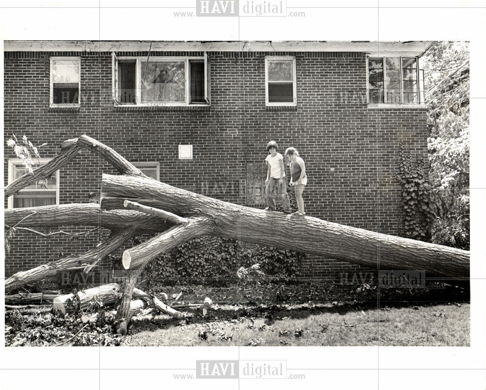 1980 Press Photo Storm,Dorene Rousseau,Dearborn - Historic Images