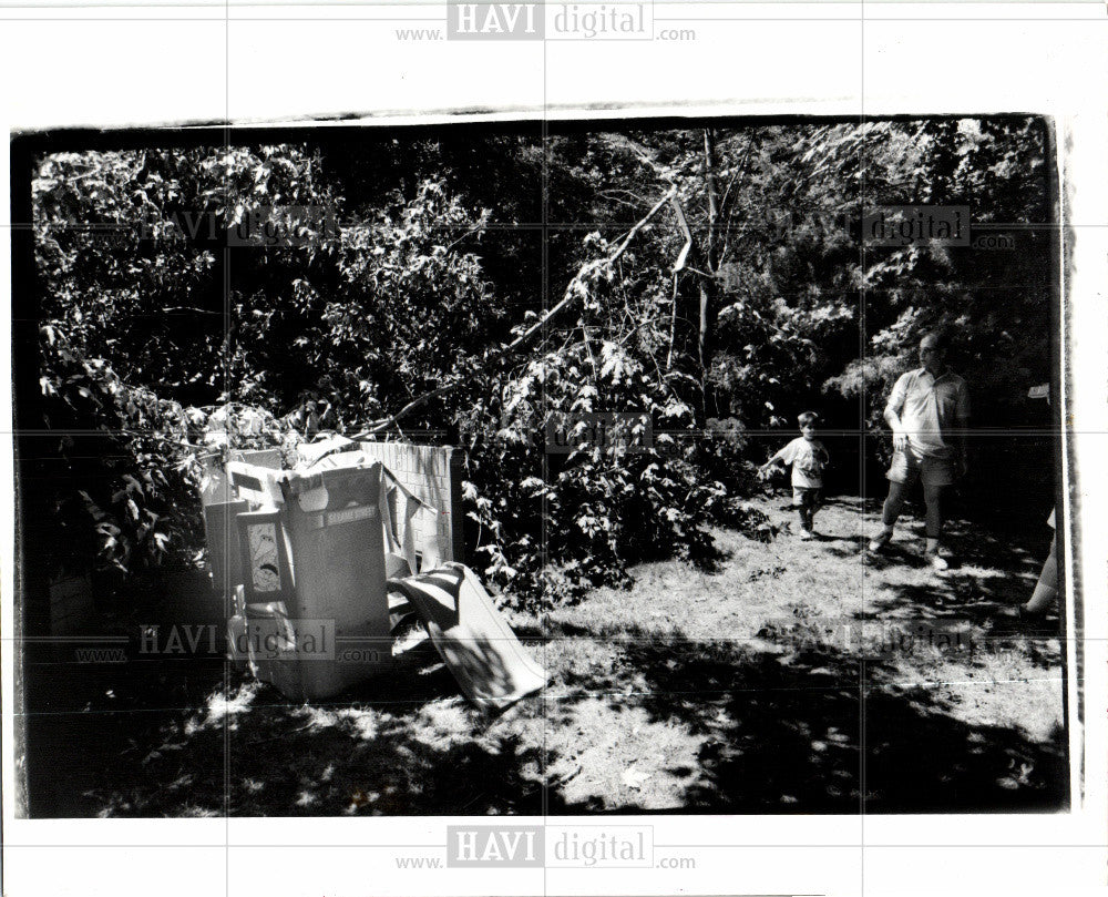 1991 Press Photo Storm damage Dearborn - Historic Images