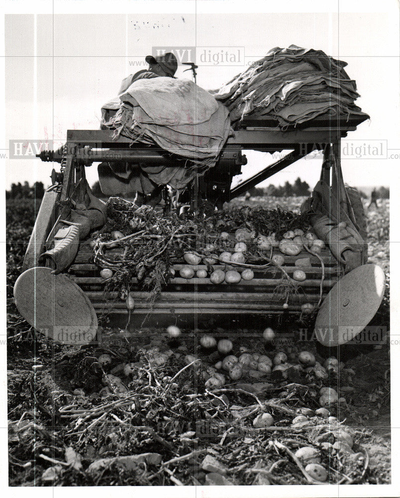 1944 Press Photo Fiero 2-row potato digger - Historic Images